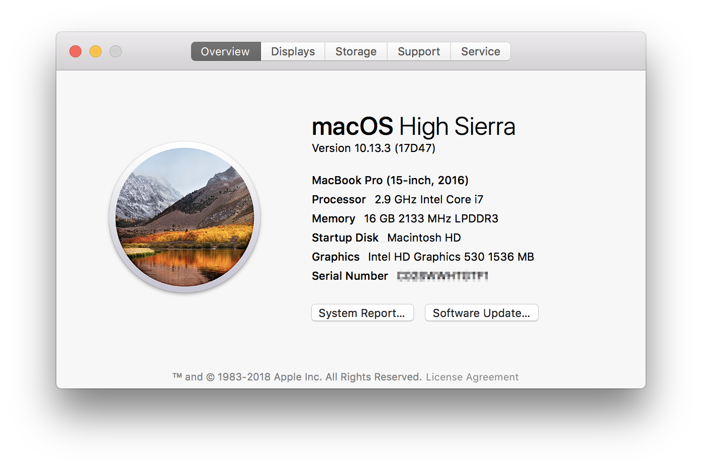 Screenshot: About This Mac 