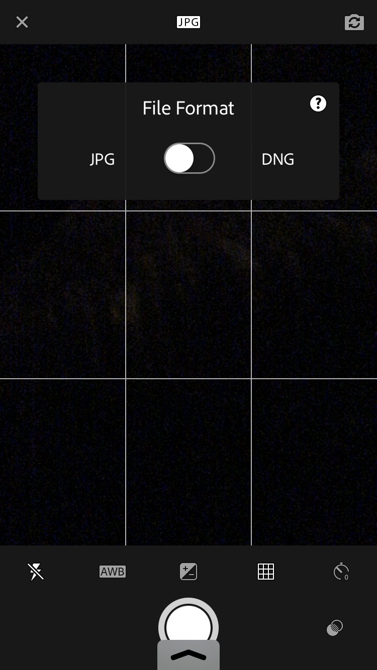 Adobe Lightroom Mobile JPG DNG toggle 